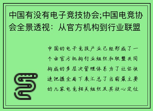 中国有没有电子竞技协会;中国电竞协会全景透视：从官方机构到行业联盟